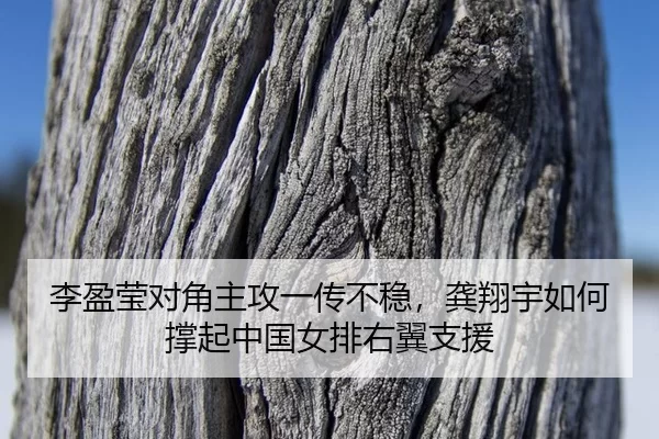 li-ying-ying-dui-jiao-zhu-gong-yi-chuan-bu-wen-gong-xiang-yu-ru-he-cheng-qi-zhong-guo-nv-pai-you-yi-zhi-yuan-3-622.jpg