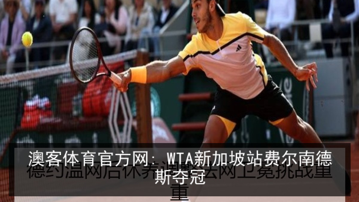 澳客体育官方网: WTA新加坡站费尔南德斯夺冠