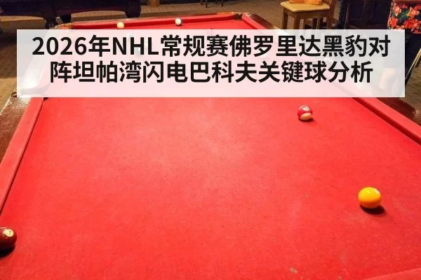 2026年NHL常规赛佛罗里达黑豹对阵坦帕湾闪电巴科夫关键球分析